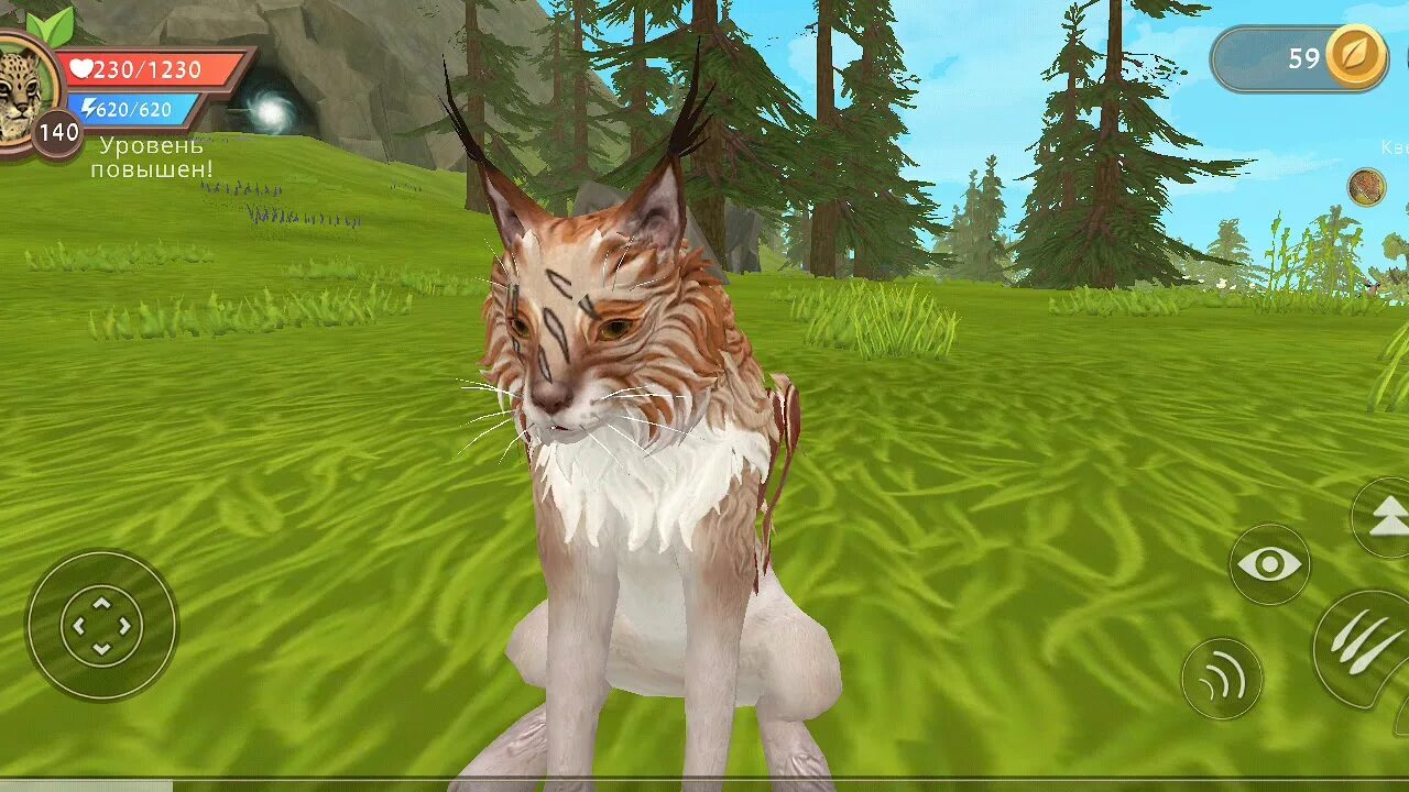 Питомцы вайлд крафт. Кристаллы вилд крафт. Вайлд крафт клуб. Кристаллы вилд крафт. Вилд крафт арт.