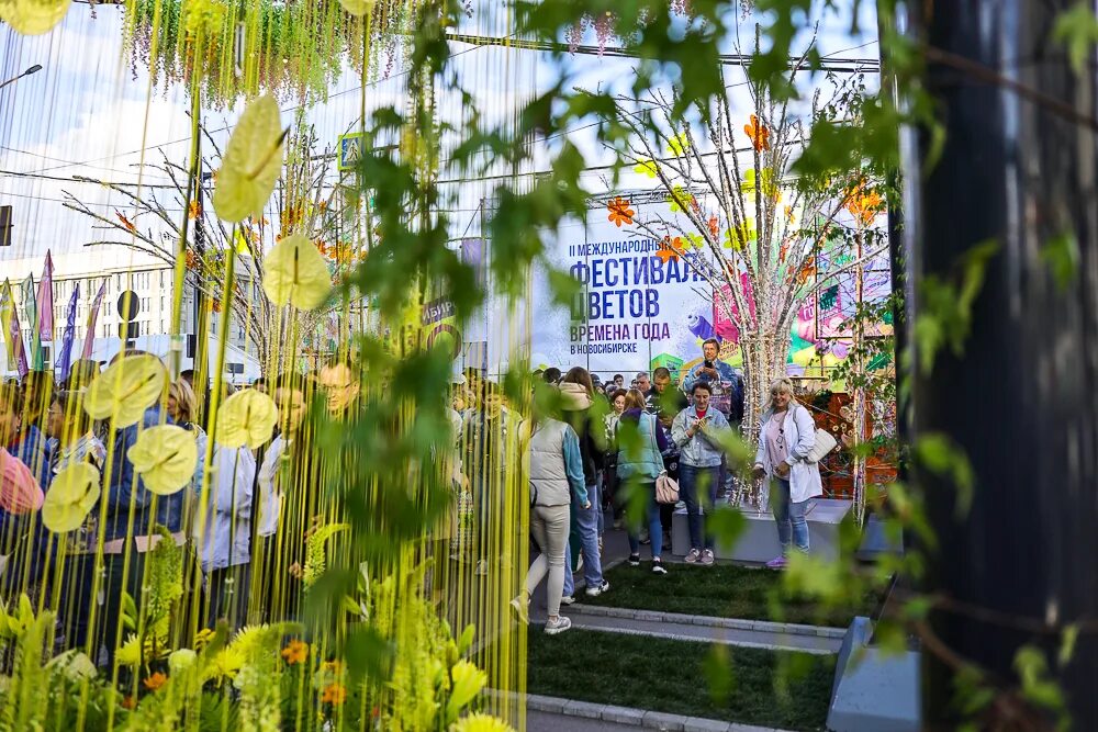 Фестиваль цветов в новосибирске. Украшения ко дню города. Фестиваль цветов в новосибирске. Большие цветы живые. Цветочный фестиваль.