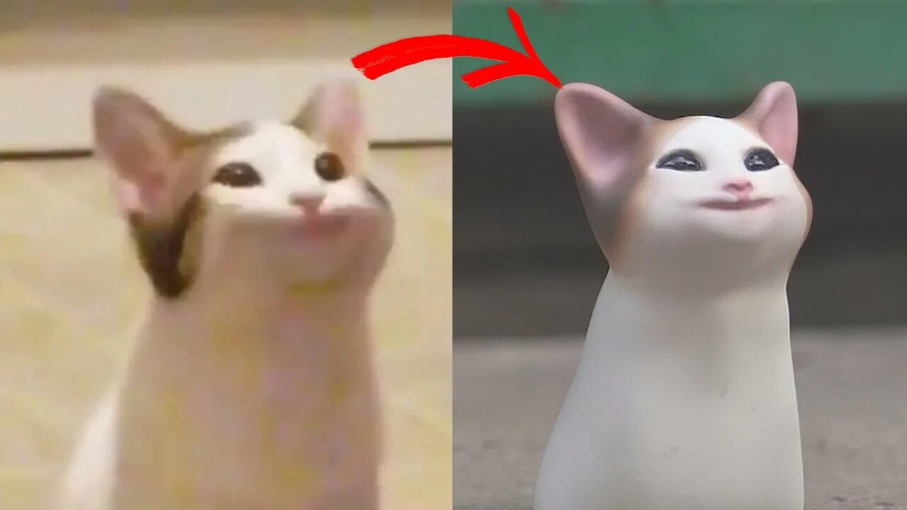 Коты мим