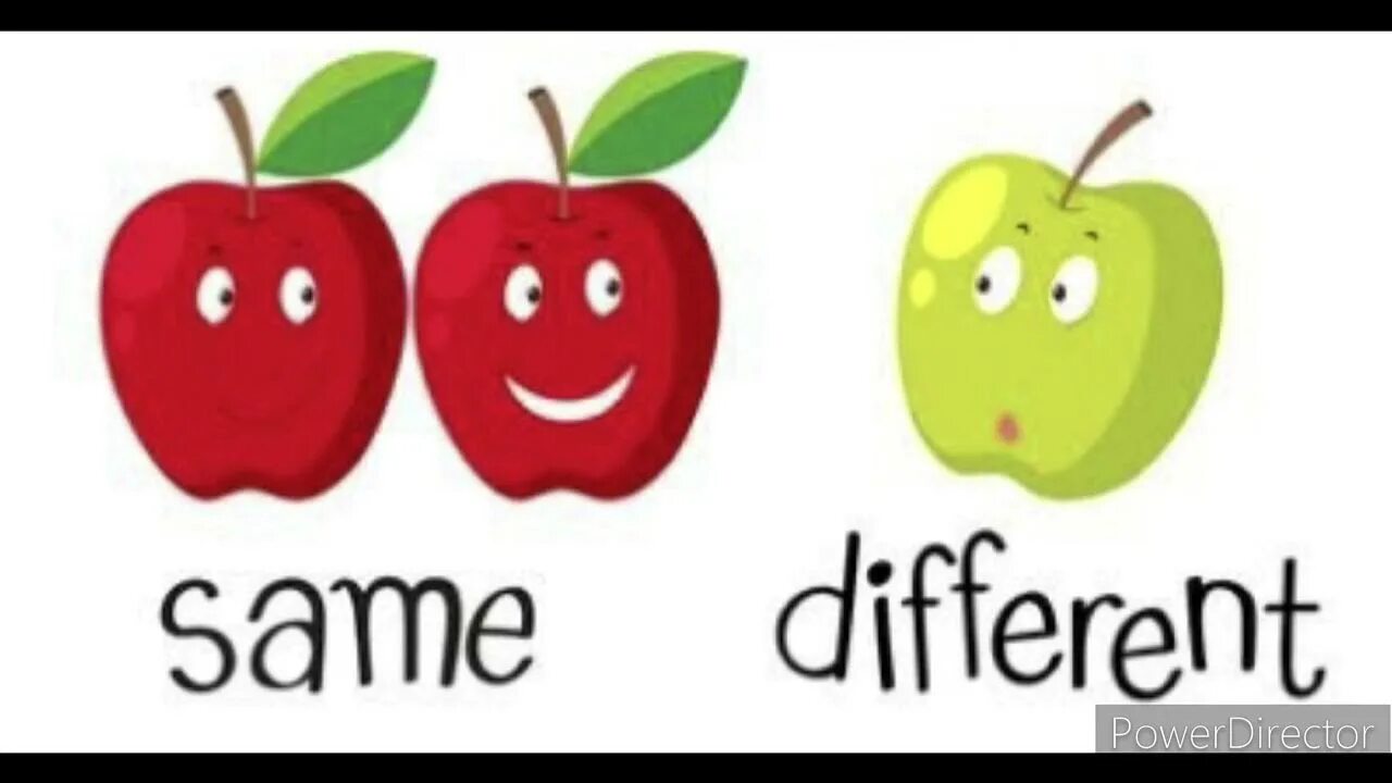 Same or different things. Same different. the same opposite word. same or different. same different picture for kids.