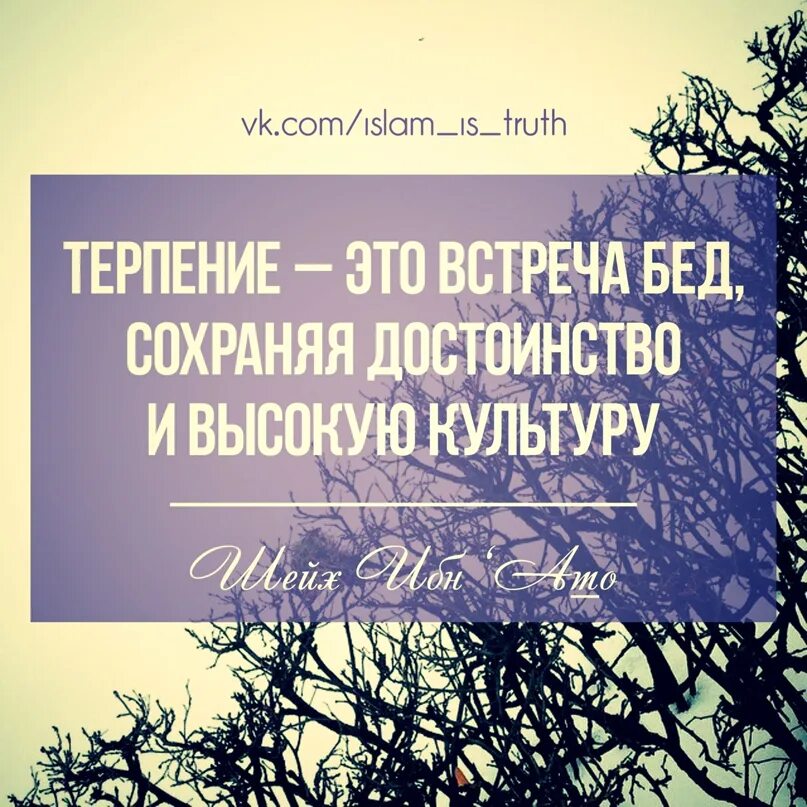 Жизнь цитаты мусульманские. Исламские цитаты про терпение. Терпение в Исламе цитаты. Красивые цитаты про терпение.