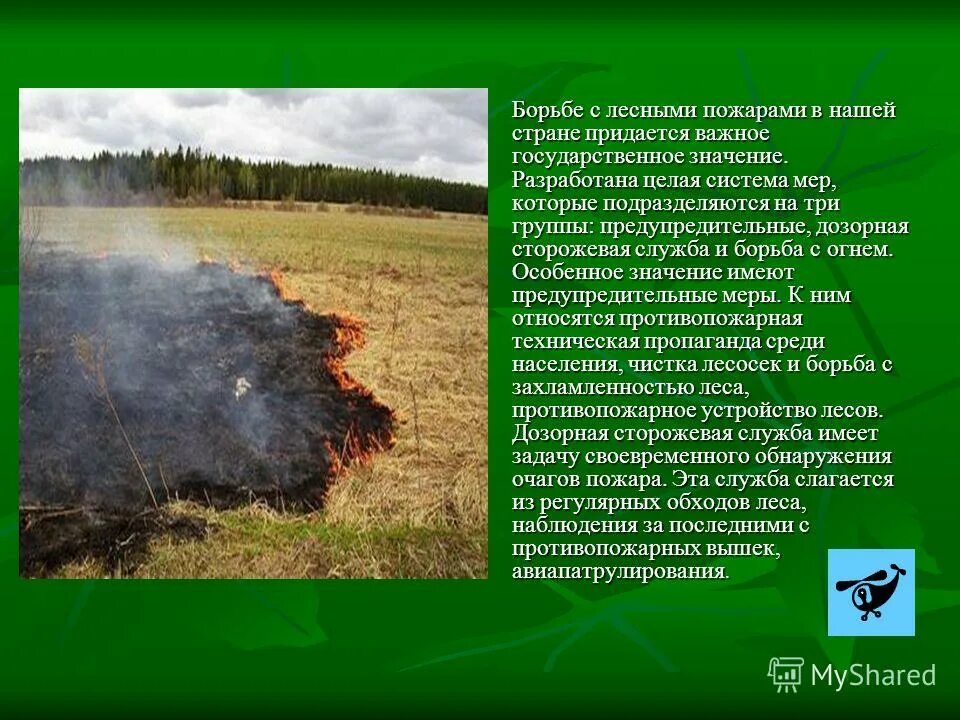 Важное значение придается