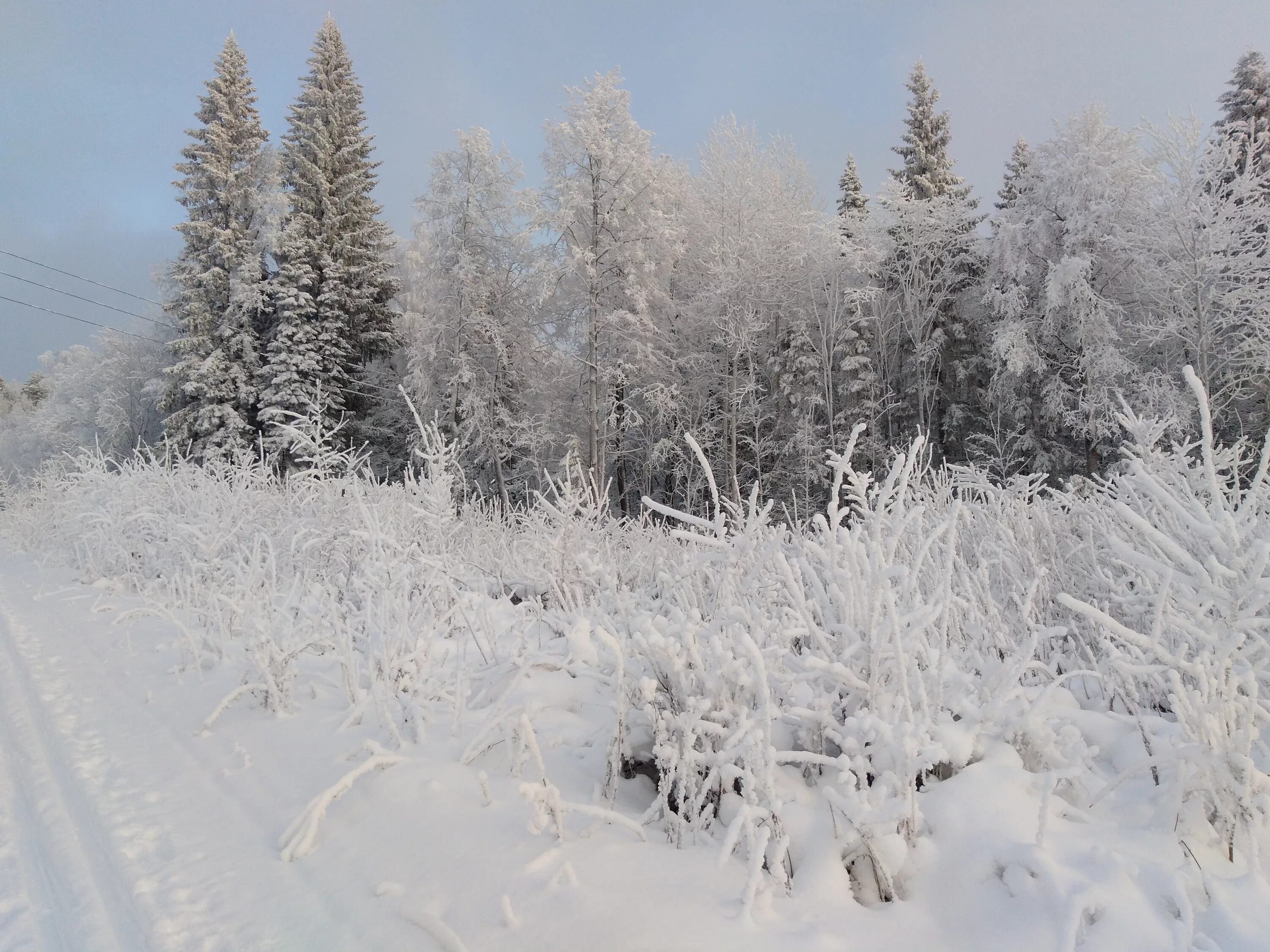климат пермского края карта. самая низкая температура в пермском крае. морозы в пермском крае. октябрьский пермский край зима. неблагоприятные условия пермского края климат.