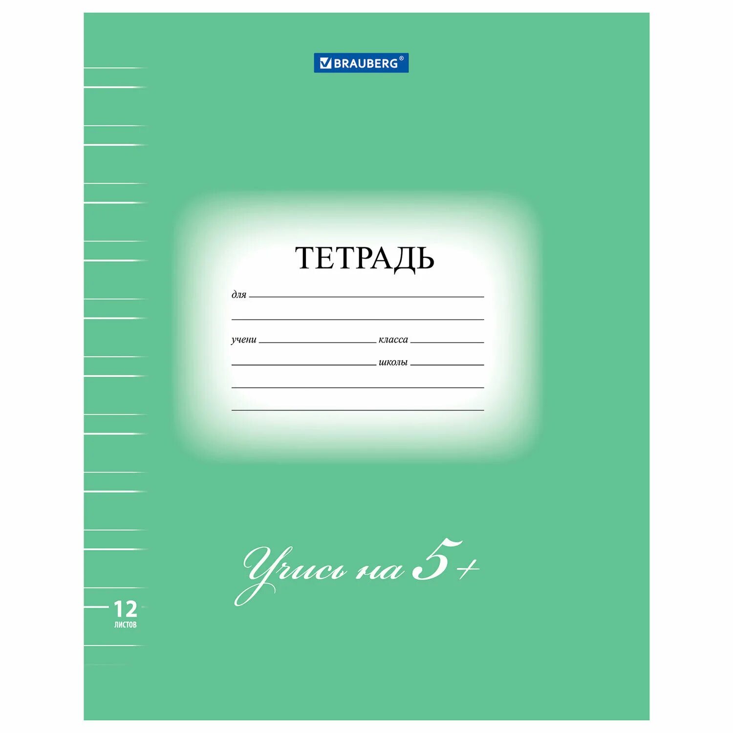 Тетрадь учащейся. Тетрадь 12л клетка БРАУБЕРГ эко 5-ка зеленая 104759. Тетрадь зеленая 12 л БРАУБЕРГ. Тетрадь БРАУБЕРГ 18 листов. Тетрадь BRAUBERG 12 листов.