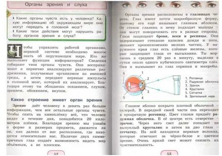 Окружающий мир 3 класс стр 133