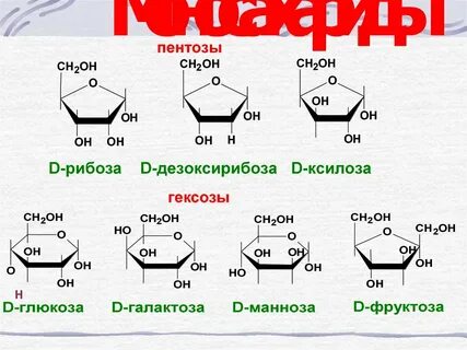 Рибоза фруктоза мальтоза