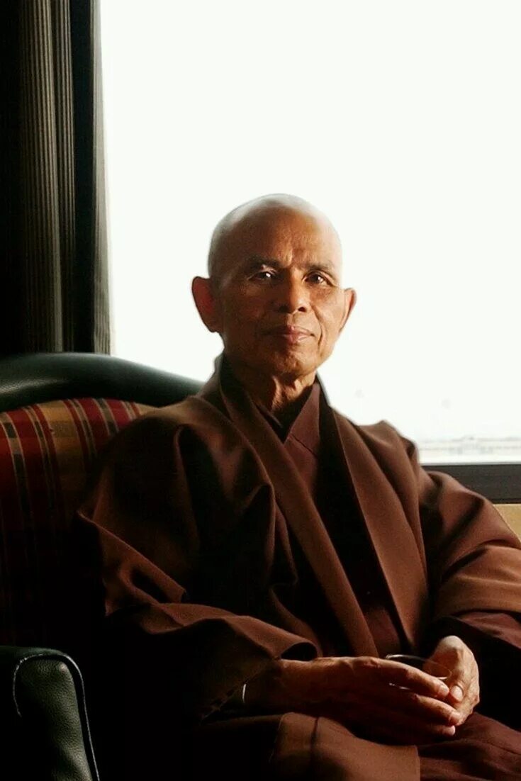 Буддийский монах тит нат хан. Нат хан. Тхить нят хань вьетнамский монах. Тит нат хан заставка. Тит нат хан дзен.