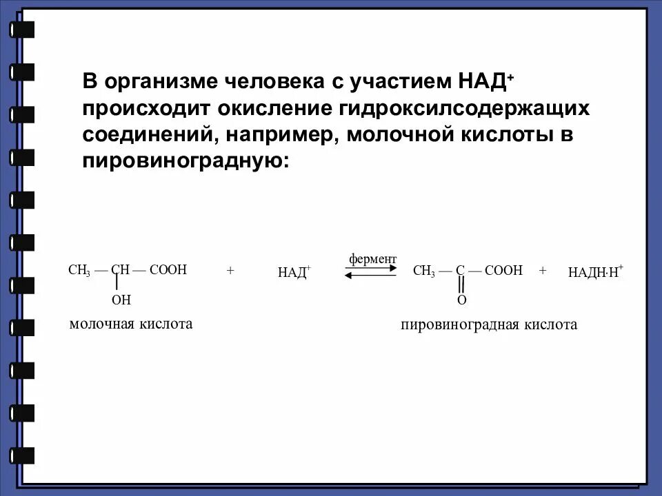 Происходит окисление пвк. Окисление молочной кислоты. молочная кислота реакция окисления. окисление молочной кислоты реакция. молочная кислота + над.