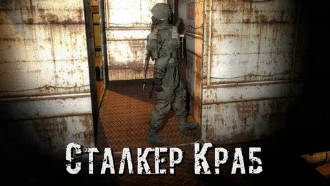 Тень чернобыля сумасшедший сталкер