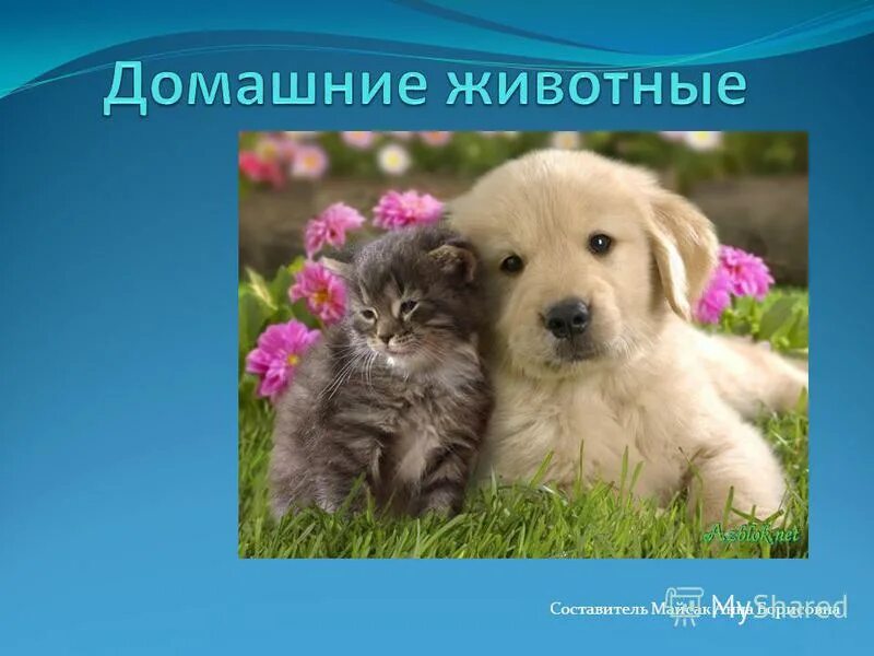 Человек, который любит. Благодаря дружбе. Благодаря дружбе. Навыки в дружбе. Благодаря дружбе.