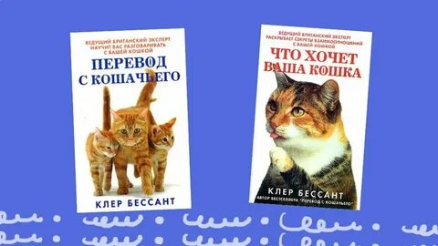 Каким командам можно научить кошку