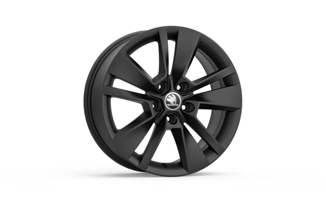 Тритон болотный. Тритон 17. Диски triton r17 skoda karoq. Хвостатые земноводные саламандра. Гребенчатый тритон (triturus cristatus).