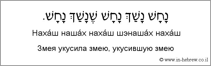 Перевод колы на еврейском языке. Перевод колы на еврейском языке