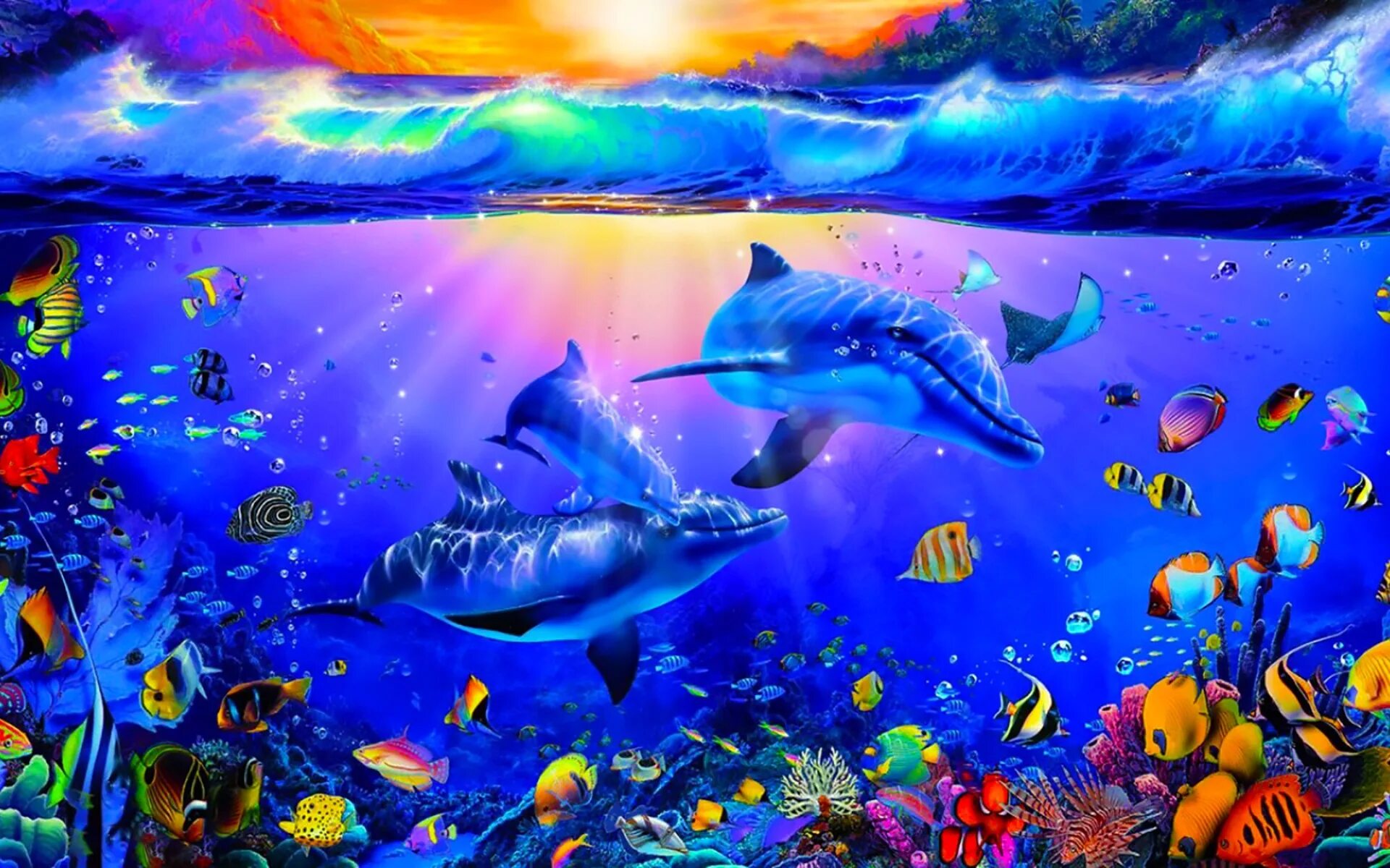 Живое море на телефон. Подводный мир дельфины. Фотообои дельфины. Яркий подводный мир. Красивый подводный мир океана.