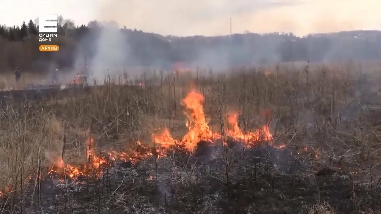 Лесные пожары красноярск. Пожар в красноярскоаем кр. Красноярский край лес горит. Горит лес в Красноярске.