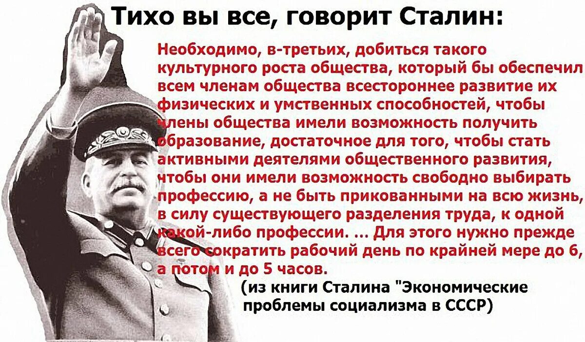 Мы живем в обществе где