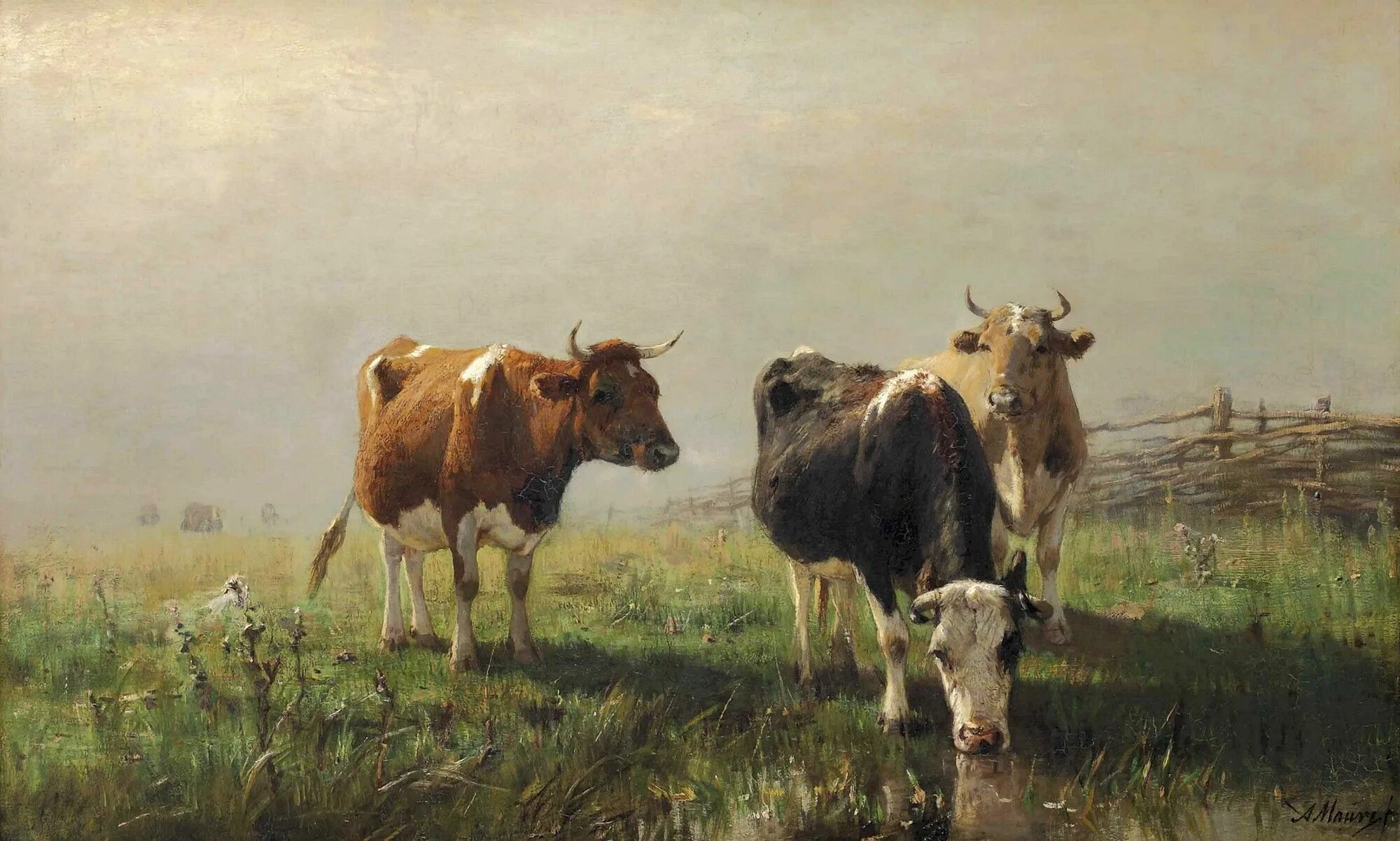 Корова арт. Сельскохозяйственные животные. Коровы и телята. Схема разруба туши коровы. Ценный фрагмент коровы.