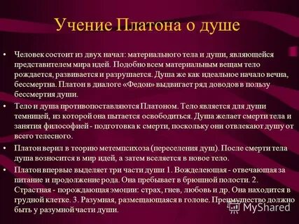 Платон бессмертные души