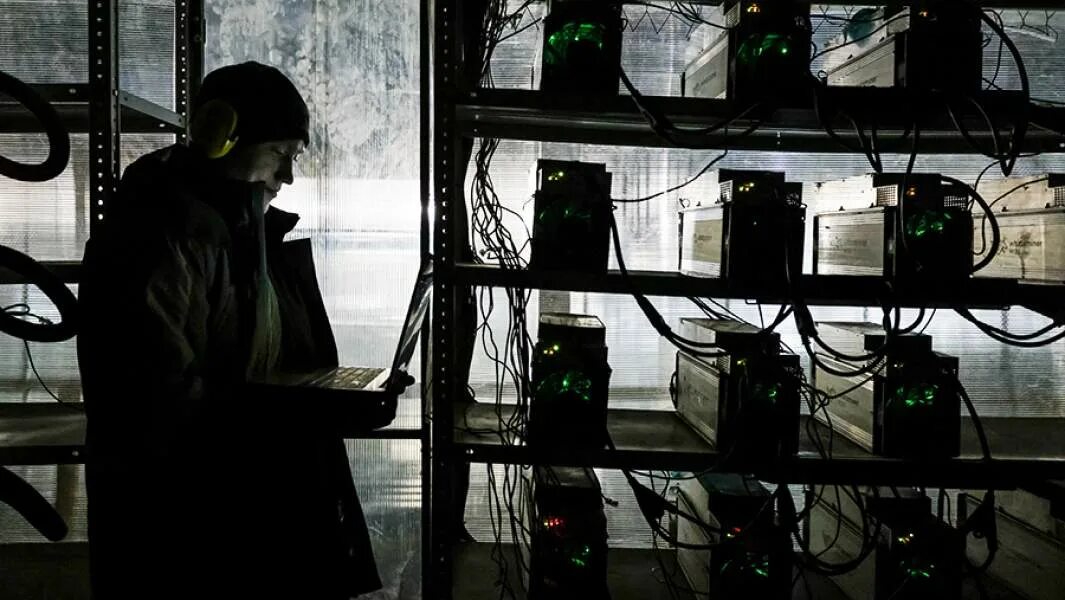 Zapret майнер. Zapret майнер. Майнинг ферма на видеокартах. Zapret майнер. Для биткоина оборудование.