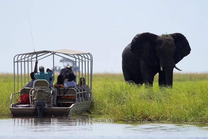 Okavango полный привод. Сафари Чобе. Парк Чобе Ботсвана. Парк Чобе сафари. Сафари парке Чобе в Ботсване.