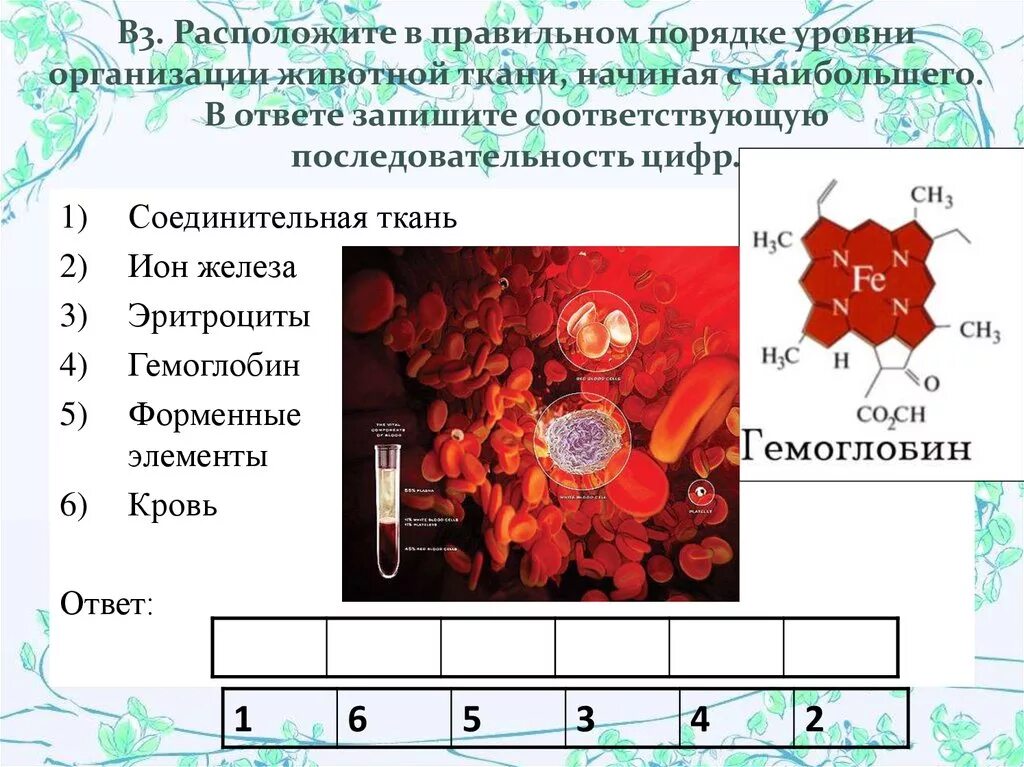 Уровни организации кровь