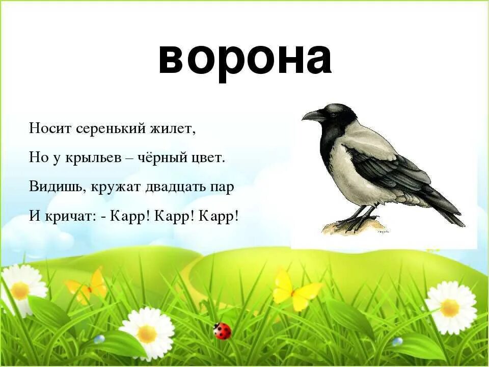 Загадка с вороной. Стих про ворону. загадка о врорне для детей. загадка про ворону для детей. ворона загадка для детей.