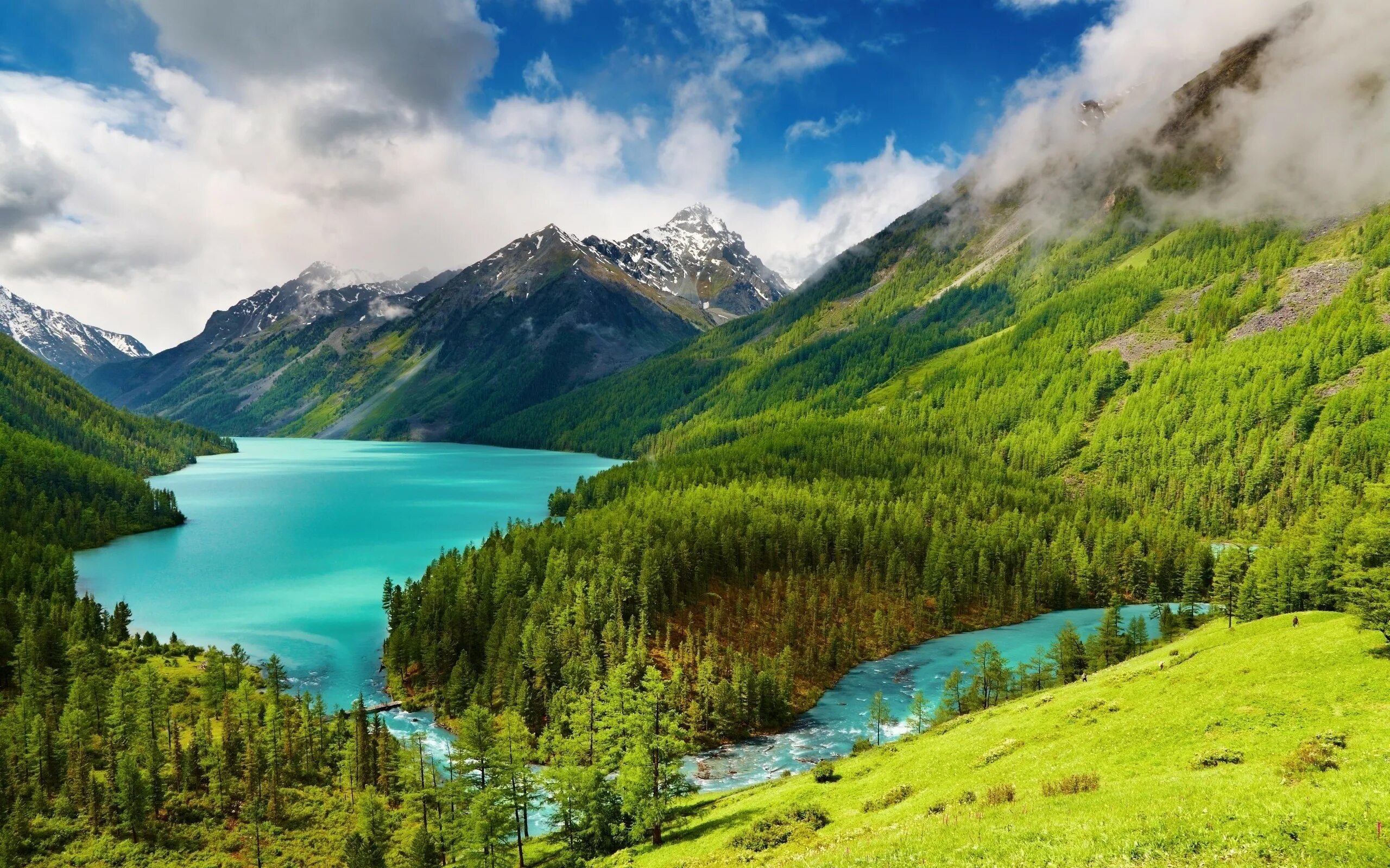 Laeacco Mountain River Trees Waterfall Scenic Photography Backgrounds Customized