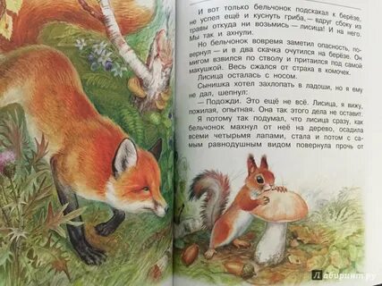 Сказка о белке