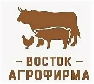 Агрофирма восток заинск. Агрофирма восток продукция. Агрофирма восток волгоградская область. Характеристика агрофирма восток. Птицефабрик в волгограде.