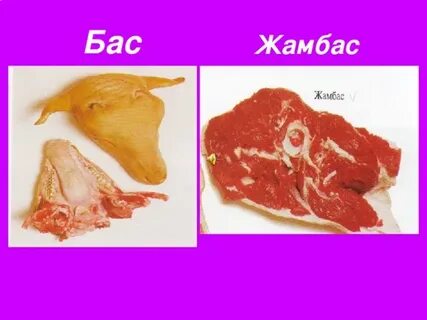 Жаппай минет порно онлайн көру