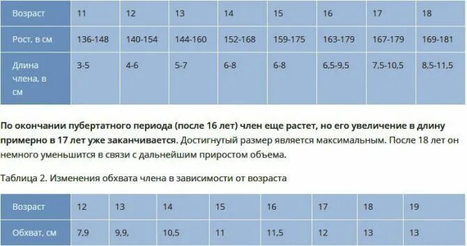 Сколько членов поместится. Таблица размеров мужского органа. Размер члена у мужчин по возрасту. Таблица полового органа по росту. Размер члена по возрастам.