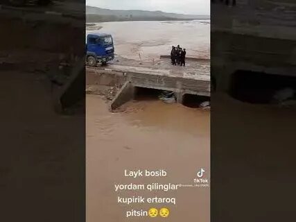 Прогноз шурчи