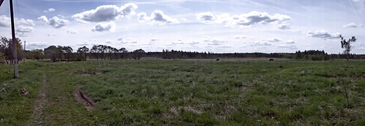 Хохлово смоленский погода. Деревня хохлово смоленск. Хохлово смоленский погода. Деревня хохлово смоленская область. Поселок хохлово.