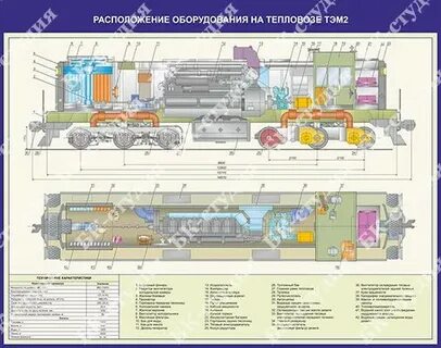 Устройство тэм 2