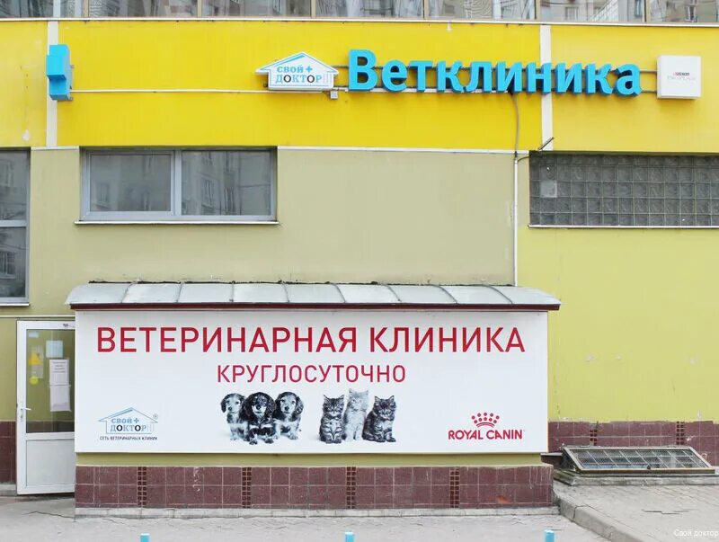 Ветклиника зеленоград круглосуточно. Георгиевский проспект 33 к6 зеленоград. Ветклиника зеленоград круглосуточно. Ветклиника зеленоград круглосуточно. Раденис ветклиника солнечногорск.