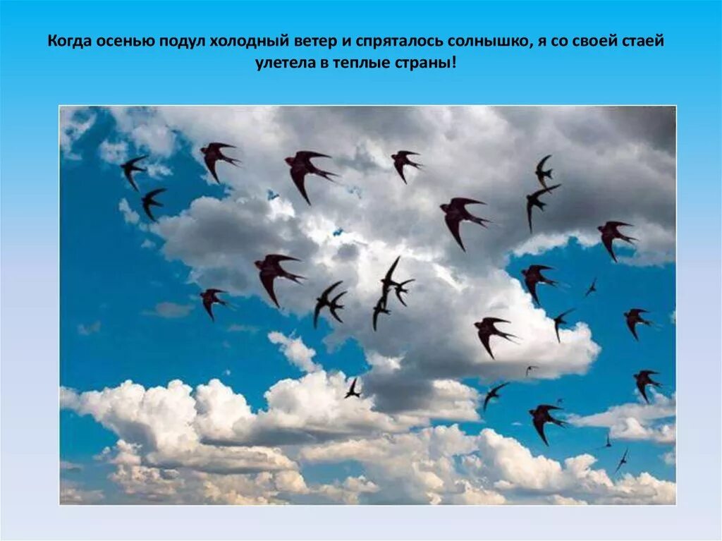 часть речи слово мало помалу. рассуждать по детски повторить в сто двадцать пятых. птички мало помалу возвращаются из теплых. стая воробьев фото. определение границ предложения.