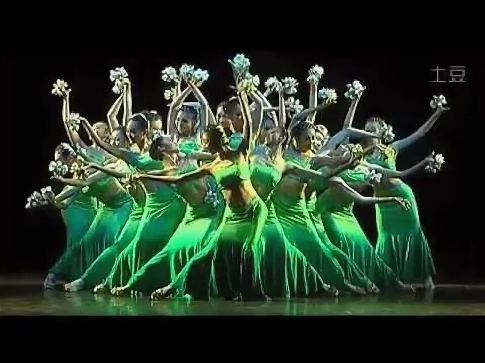 Цветочные танцы где. Танец цветы. Танец в цветах. Зеленые цветы для танца. Цветочный танец фото.