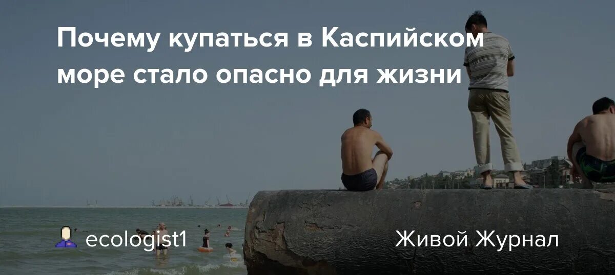 Что плавает в Каспийском море. Почему не купаются в Каспийском море. Каспийское море Махачкала. Что опасно в Каспийском море. Зачем купаться