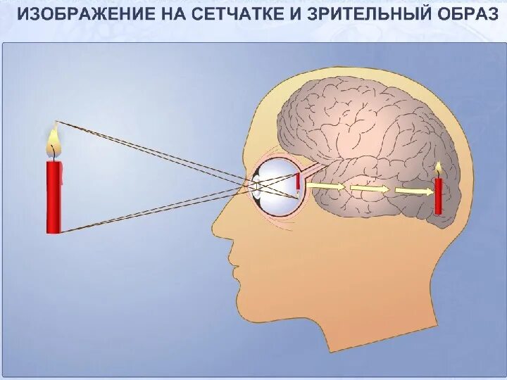 Зрительная работа