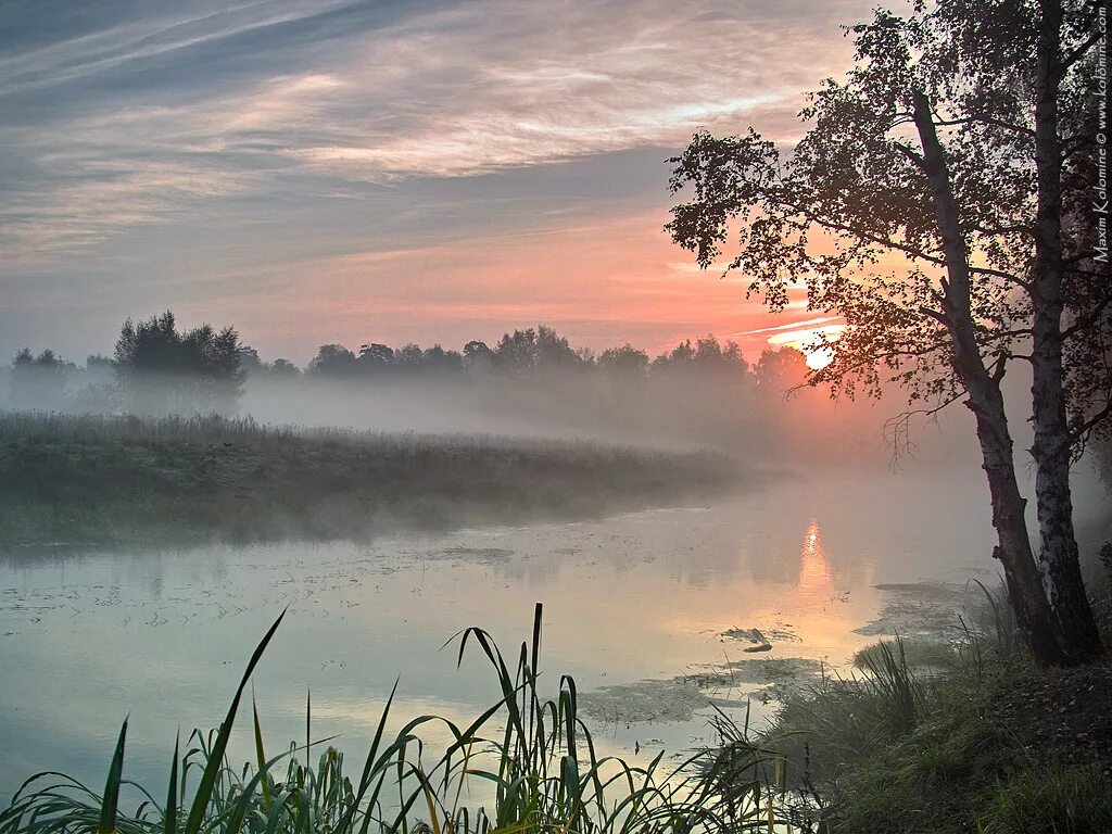 В горячем свете весело и сухо. Туманное утро Фет. Вечер над рекой. Рассвет на пруду. Рассвет на реке.