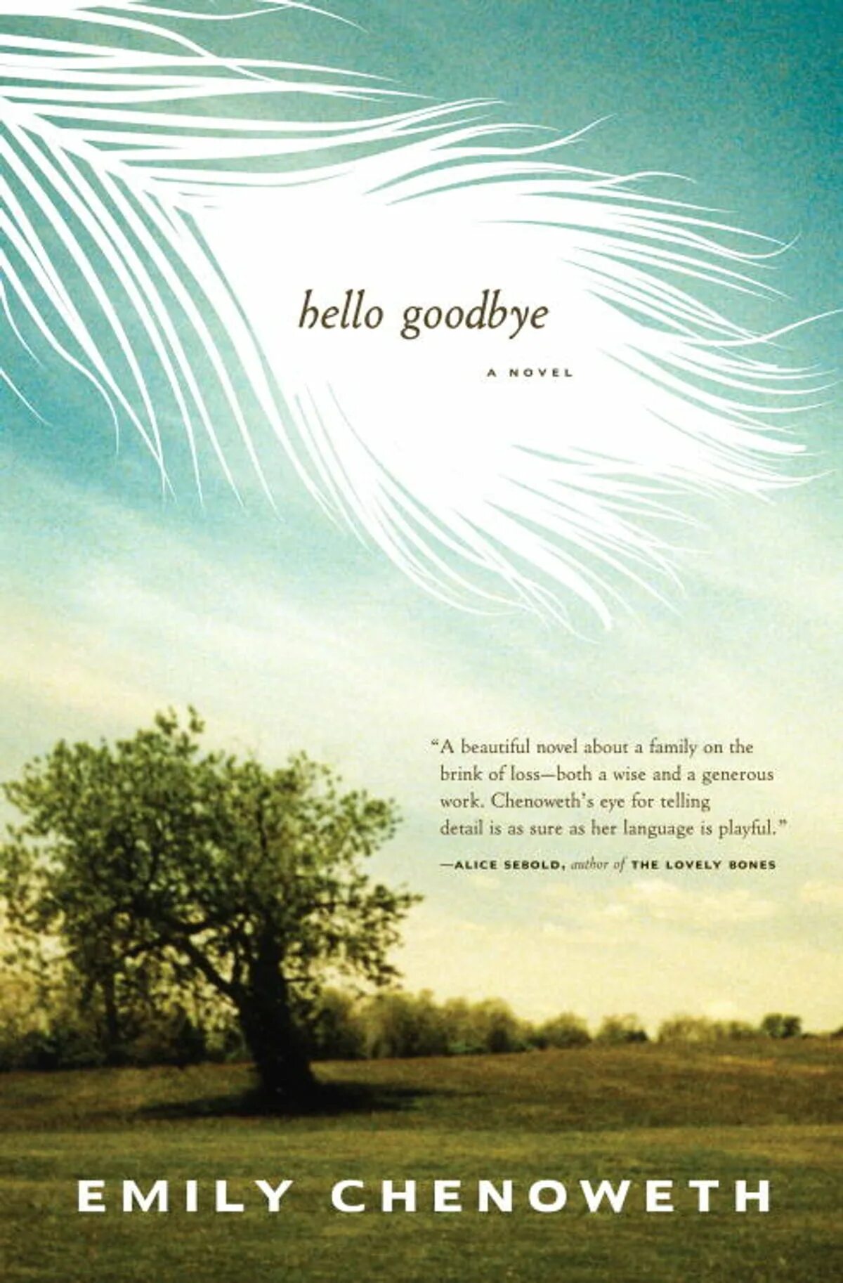 Читать hello. Душа обложка. далеко в душе обложка для книги. goodbye. hello adrian hallo emil was machst.