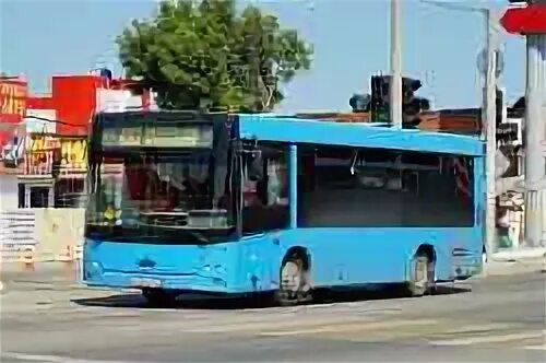 Автобус варениковская крымск 101. Автовокзал новороссийск расписание. Расписание автобусов тамань темрюк. Автобус варениковская крымск 101. Полевая кухня в крымском районе.