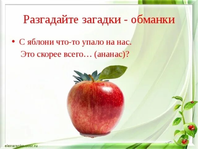 Dk загадки обманки. Загадки обманки с ответами. Загадки-обманки для детей. Загадки обманки. Загадки обманки.