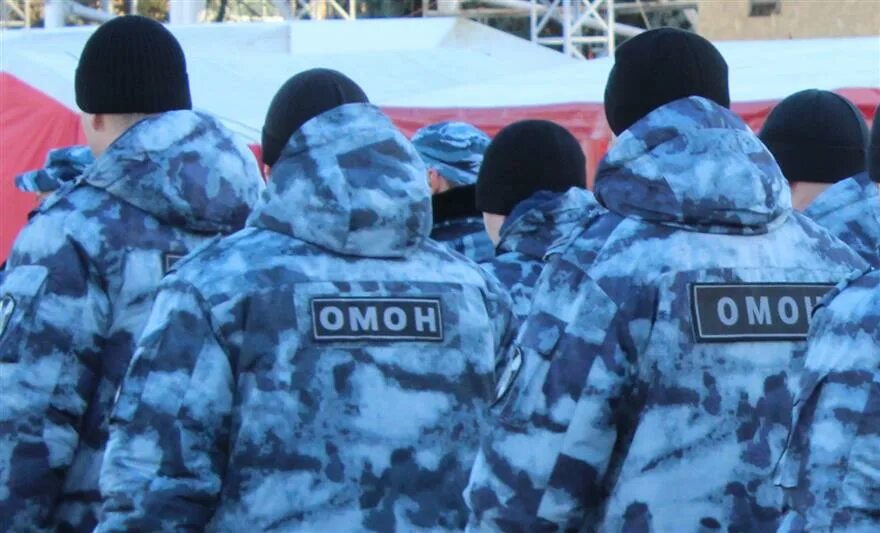 Расцветка омон. Куртка зимняя альфа 2 серый камыш. Костюм аку беркут фсин. Штаны камыш омоновские. Костюм серый камыш летний фсин.