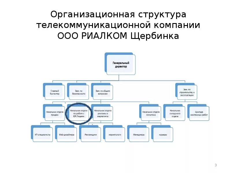 Пао организационная форма. Организационная структура телекоммуникационной компании. Структура управления ПАО Ростелеком. Организационная структура предприятия в телекоммуникации. Организационная структура компании ООО МЕГАФОН.