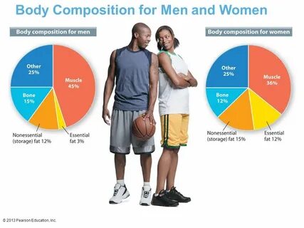 Body composition