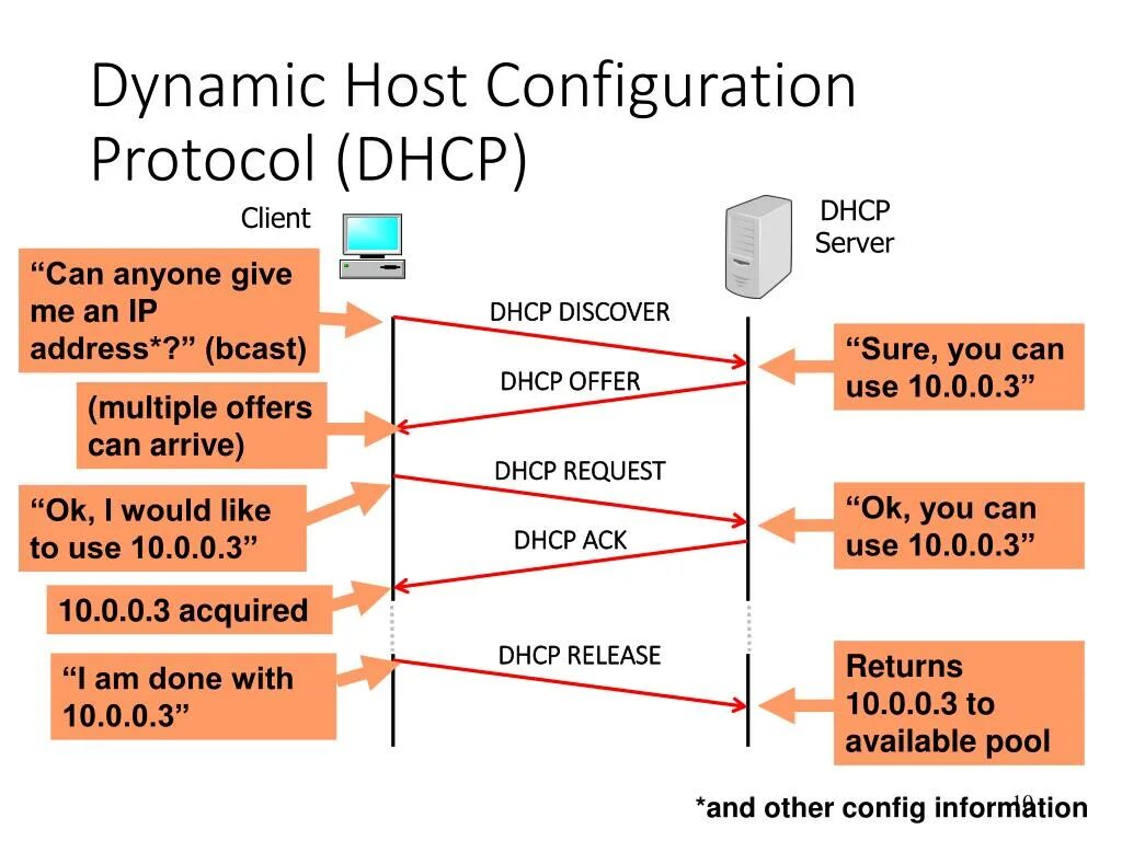 Домен dhcp