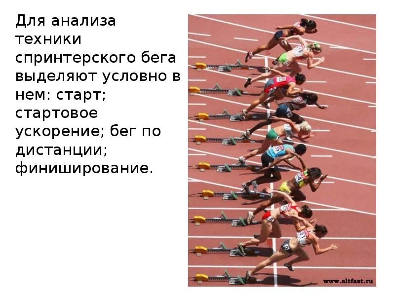 Фазы спринтерского