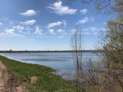 Уровень реки в шакше