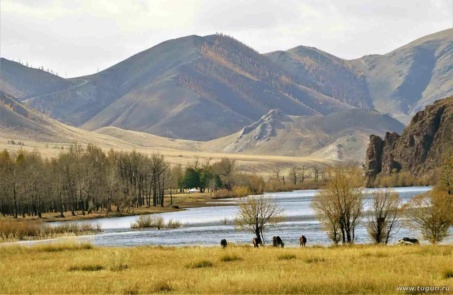 Река в монголии и забайкалье. Река Онон Монголия. Река Селенга Монголия. Река Онон Монголия фото. Река Онон Забайкальского края Чингисханом.